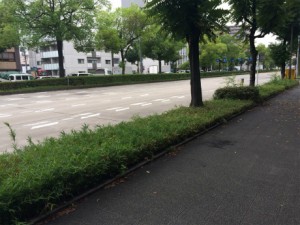 IMG_2575